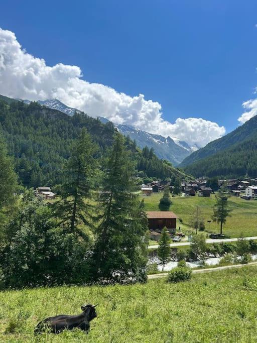 Magnifique Racard Renove Isole 10 Minutes De Marche *