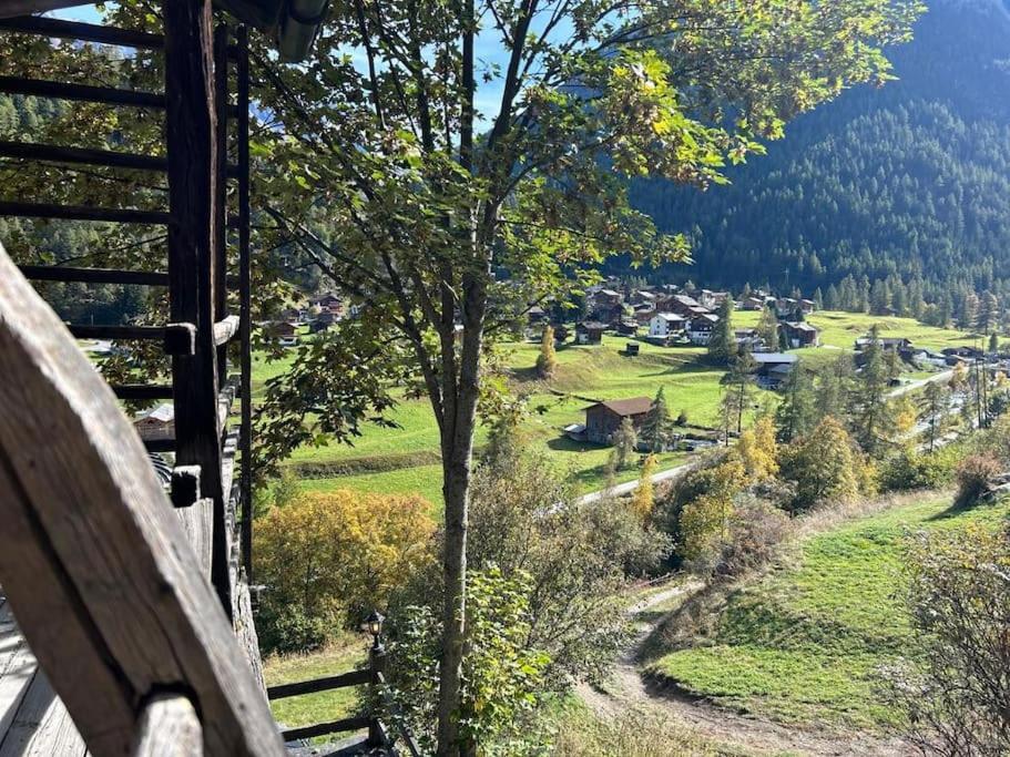 Magnifique Racard Renove Isole 10 Minutes De Marche Chalé Haudères